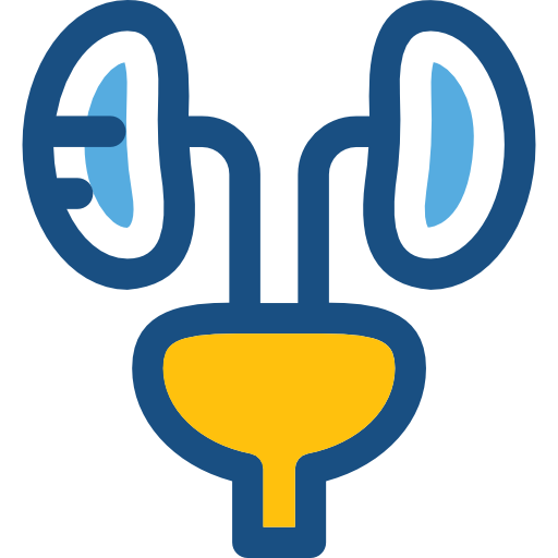 Urologie